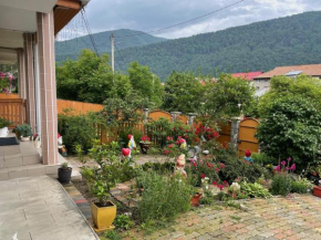Socul - Apartament cu gradina privata si gratar